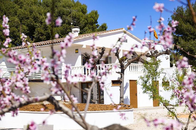 Villa Vintage Les Cases d'Alcanar Kültér fotó