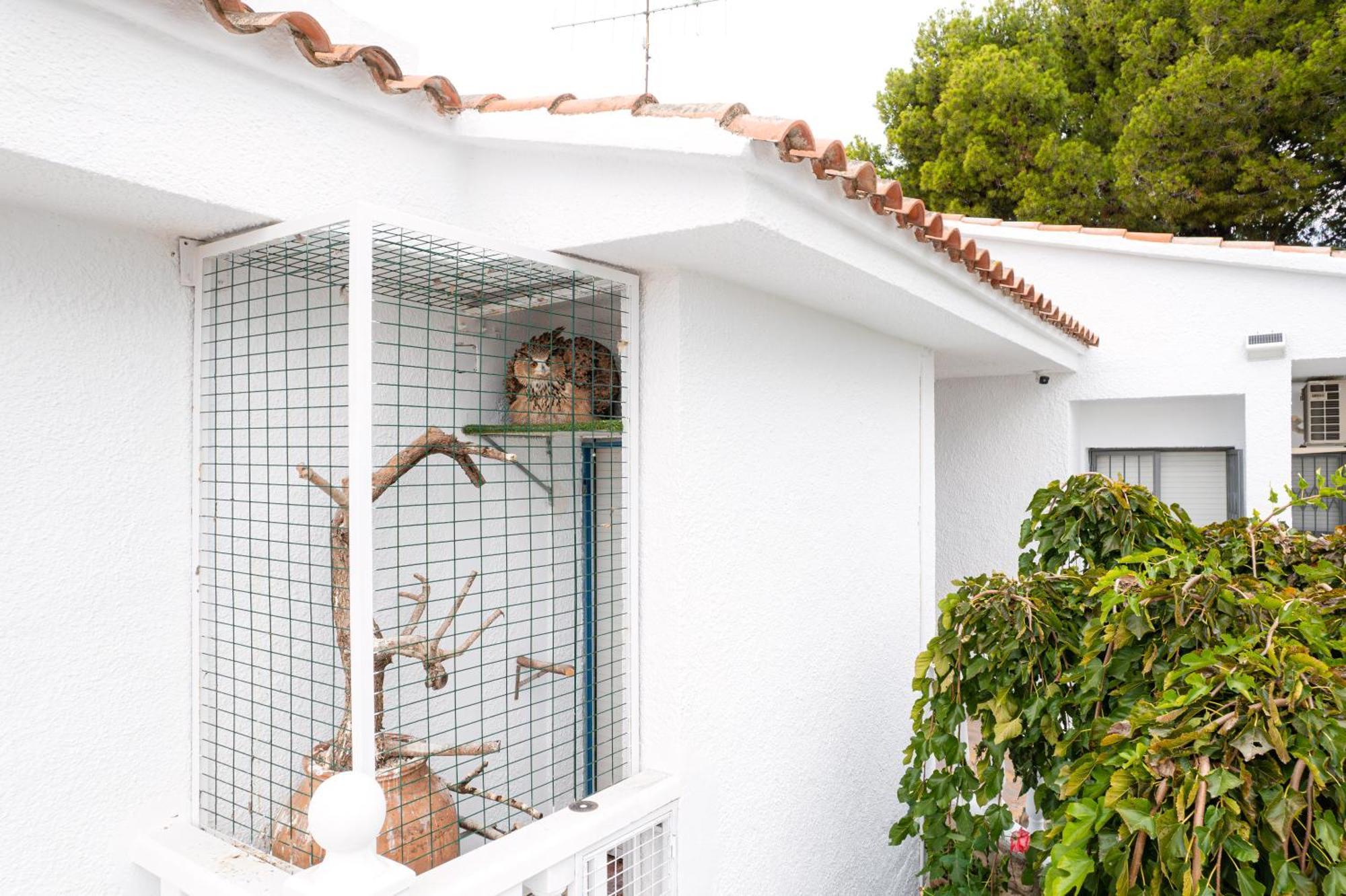 Villa Vintage Les Cases d'Alcanar Kültér fotó